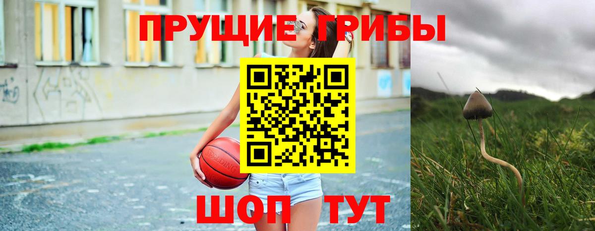Аксай  Галлюциногенные грибы Psilocybine cubensis  что такое   Вход с VPN 