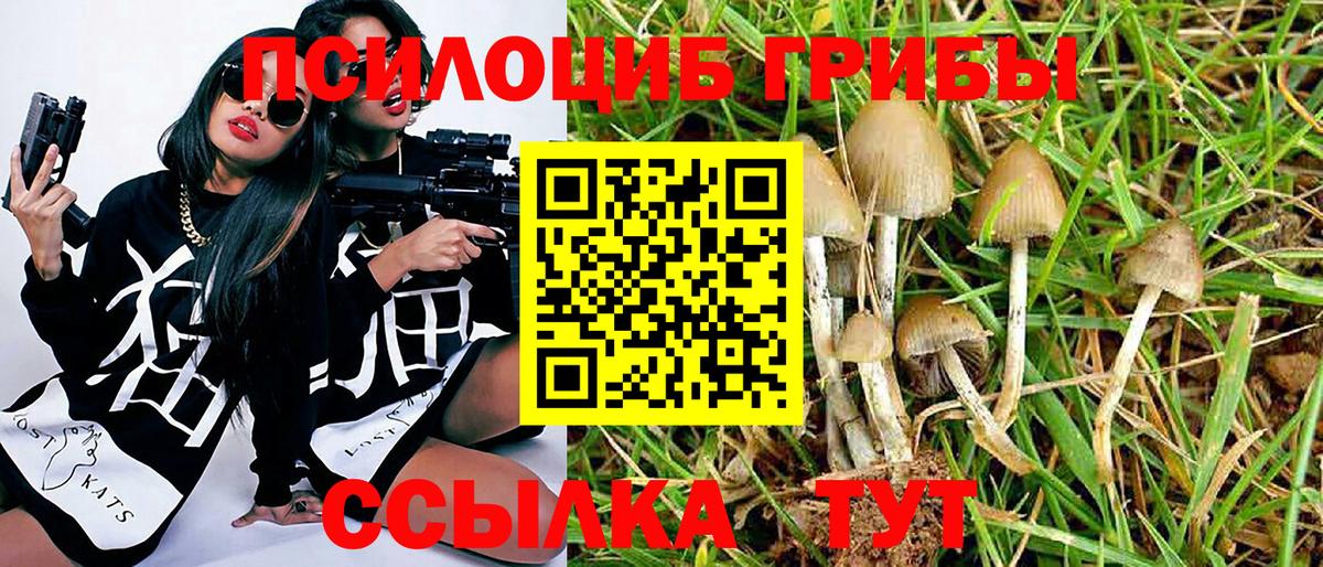 Галлюциногенные грибы мицелий Аксай